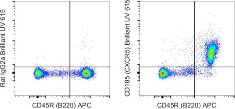 CD185 (CXCR5) Monoclonal Antibody (SPRCL5), Brilliant Ultra Violet 615, eBioscience
