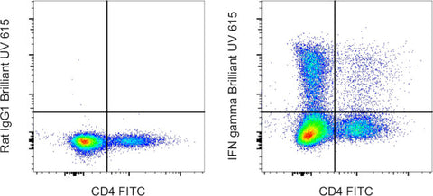 IFN gamma Monoclonal Antibody (XMG1.2), Brilliant Ultra Violet 615, eBioscience