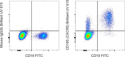CD185 (CXCR5) Monoclonal Antibody (MU5UBEE), Brilliant Ultra Violet 615, eBioscience