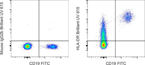 HLA-DR Monoclonal Antibody (LN3), Brilliant Ultra Violet 615, eBioscience