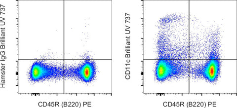 CD11c Monoclonal Antibody (N418), Brilliant Ultra Violet™ 737