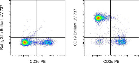 CD19 Monoclonal Antibody (eBio1D3 (1D3)), Brilliant Ultra Violet 737, eBioscience