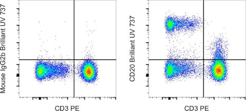 CD20 Monoclonal Antibody (2H7), Brilliant Ultra Violet 737, eBioscience
