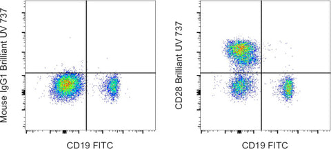 CD28 Monoclonal Antibody (CD28.2), Brilliant Ultra Violet 737, eBioscience