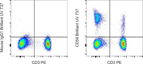 CD56 (NCAM) Monoclonal Antibody (TULY56), Brilliant Ultra Violet 737, eBioscience