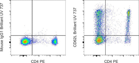 CD62L (L-Selectin) Monoclonal Antibody (DREG-56 (DREG56)), Brilliant Ultra Violet 737, eBioscience