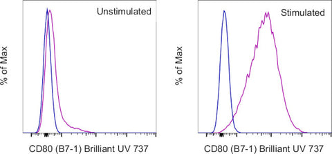 CD80 (B7-1) Monoclonal Antibody (16-10A1), Brilliant Ultra Violet™ 737