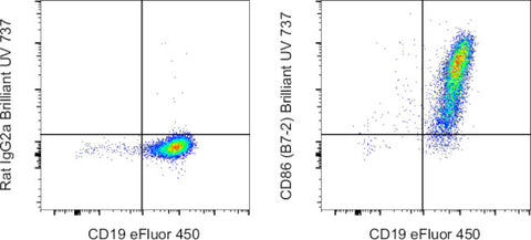 CD86 (B7-2) Monoclonal Antibody (GL1), Brilliant Ultra Violet 737, eBioscience