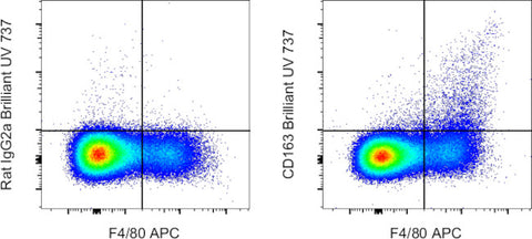 CD163 Monoclonal Antibody (TNKUPJ), Brilliant Ultra Violet™ 737