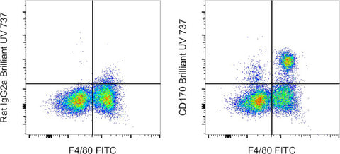 CD170 (Siglec F) Monoclonal Antibody (1RNM44N), Brilliant Ultra Violet 737, eBioscience