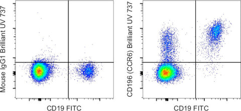 CD196 (CCR6) Monoclonal Antibody (R6H1), Brilliant Ultra Violet 737, eBioscience