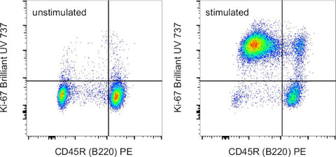 Ki-67 Monoclonal Antibody (SolA15), Brilliant Ultra Violet 737, eBioscience