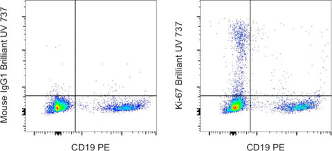 Ki-67 Monoclonal Antibody (20Raj1), Brilliant Ultra Violet 737, eBioscience