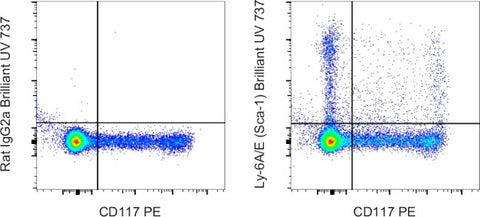 Ly-6A/E (Sca-1) Monoclonal Antibody (D7), Brilliant Ultra Violet 737, eBioscience