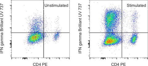 IFN gamma Monoclonal Antibody (XMG1.2), Brilliant Ultra Violet 737, eBioscience