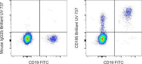 CD185 (CXCR5) Monoclonal Antibody (MU5UBEE), Brilliant Ultra Violet™ 737