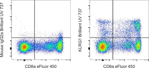 KLRG1 Monoclonal Antibody (13F12F2), Brilliant Ultra Violet™ 737