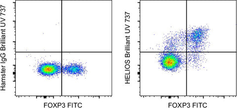 HELIOS Monoclonal Antibody (22F6), Brilliant Ultra Violet 737, eBioscience