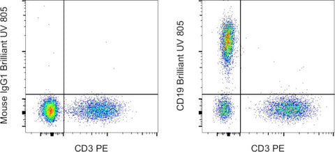 CD19 Monoclonal Antibody (SJ25C1), Brilliant Ultra Violet 805, eBioscience