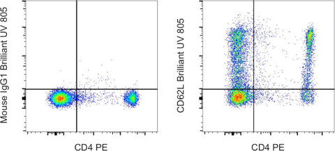 CD62L (L-Selectin) Monoclonal Antibody (DREG-56 (DREG56)), Brilliant Ultra Violet 805, eBioscience
