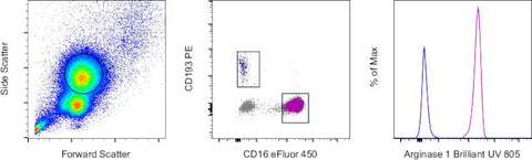 Arginase 1 Monoclonal Antibody (A1exF5), Brilliant Ultra Violet™ 805