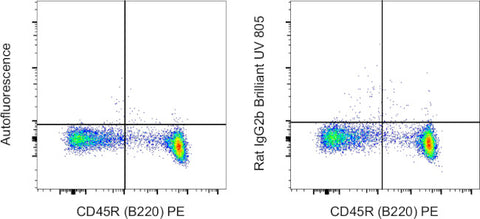 Rat IgG2b kappa Isotype Control (eB149/10H5), Brilliant Ultra Violet™ 805