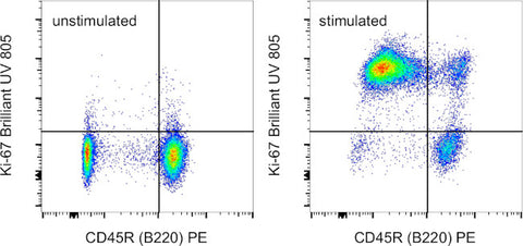 Ki-67 Monoclonal Antibody (SolA15), Brilliant Ultra Violet 805, eBioscience