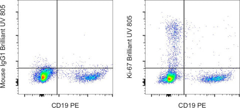Ki-67 Monoclonal Antibody (20Raj1), Brilliant Ultra Violet 805, eBioscience