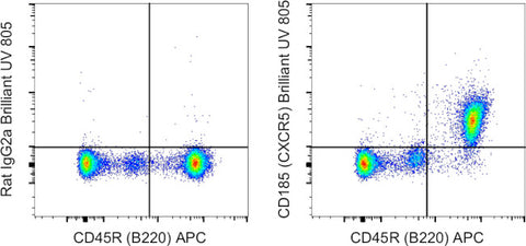 CD185 (CXCR5) Monoclonal Antibody (SPRCL5), Brilliant Ultra Violet 805, eBioscience