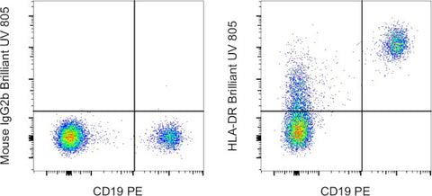 HLA-DR Monoclonal Antibody (LN3), Brilliant Ultra Violet 805, eBioscience