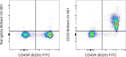 CD20 Monoclonal Antibody (QCH6A7), Brilliant Ultra Violet 661, eBioscience