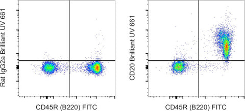 CD20 Monoclonal Antibody (QCH6A7), Brilliant Ultra Violet™ 661