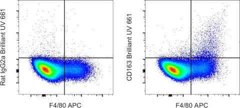 CD163 Monoclonal Antibody (TNKUPJ), Brilliant Ultra Violet™ 661