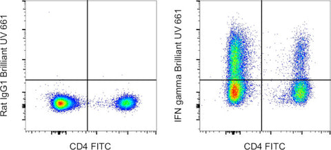 IFN gamma Monoclonal Antibody (XMG1.2), Brilliant Ultra Violet 661, eBioscience