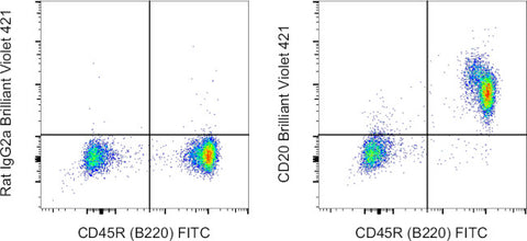 CD20 Monoclonal Antibody (QCH6A7), Brilliant Violet 421, eBioscience