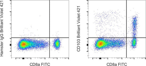 CD103 (Integrin alpha E) Monoclonal Antibody (2E7), Brilliant Violet™ 421