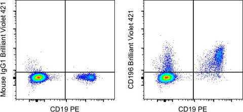 CD196 (CCR6) Monoclonal Antibody (R6H1), Brilliant Violet 421, eBioscience