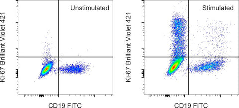 Ki-67 Monoclonal Antibody (20Raj1), Brilliant Violet™ 421