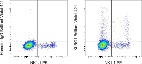 KLRG1 Monoclonal Antibody (2F1), Brilliant Violet 421, eBioscience