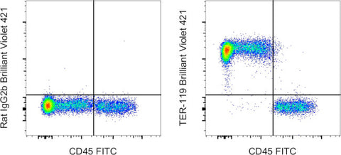 TER-119 Monoclonal Antibody (TER-119), Brilliant Violet 421, eBioscience