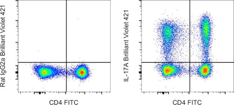 IL-17A Monoclonal Antibody (eBio17B7), Brilliant Violet 421, eBioscience