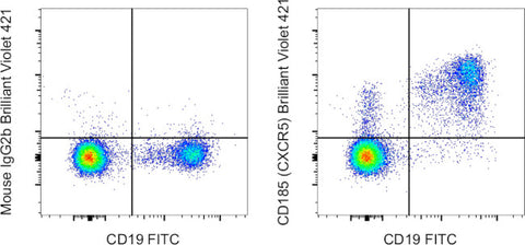 CD185 (CXCR5) Monoclonal Antibody (MU5UBEE), Brilliant Violet 421, eBioscience
