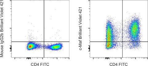 c-MAF Monoclonal Antibody (sym0F1), Brilliant Violet 421, eBioscience