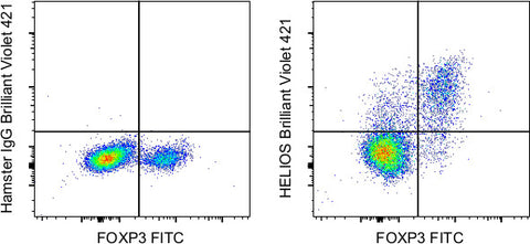 HELIOS Monoclonal Antibody (22F6), Brilliant Violet 421, eBioscience