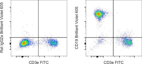 CD19 Monoclonal Antibody (eBio1D3 (1D3)), Brilliant Violet 605, eBioscience