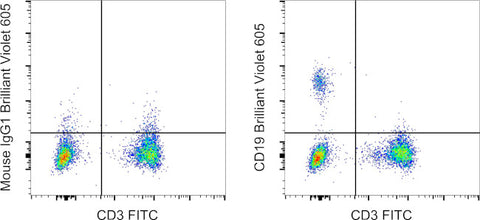 CD19 Monoclonal Antibody (SJ25C1), Brilliant Violet 605, eBioscience