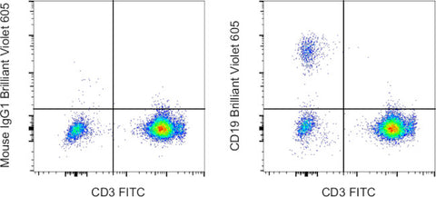 CD19 Monoclonal Antibody (HIB19), Brilliant Violet 605, eBioscience