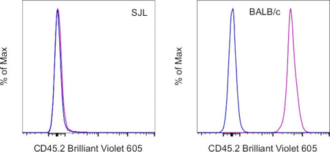 CD45.2 Monoclonal Antibody (104), Brilliant Violet 605, eBioscience