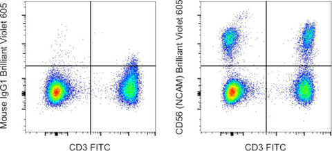 CD56 (NCAM) Monoclonal Antibody (TULY56), Brilliant Violet 605, eBioscience