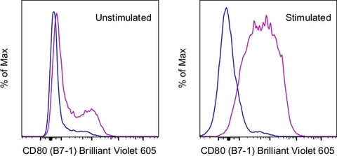 CD80 (B7-1) Monoclonal Antibody (16-10A1), Brilliant Violet 605, eBioscience